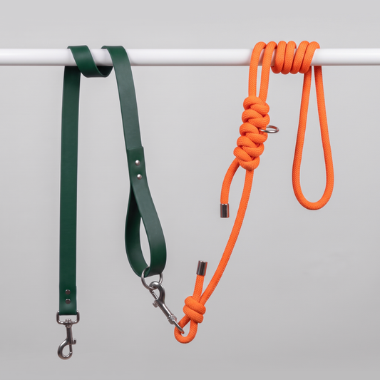Laisse multiposition chien Orange & Vert – LAISSE LÉON