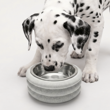 GAMELLE BRIGITTE. – Gamelle chien design éco-responsable