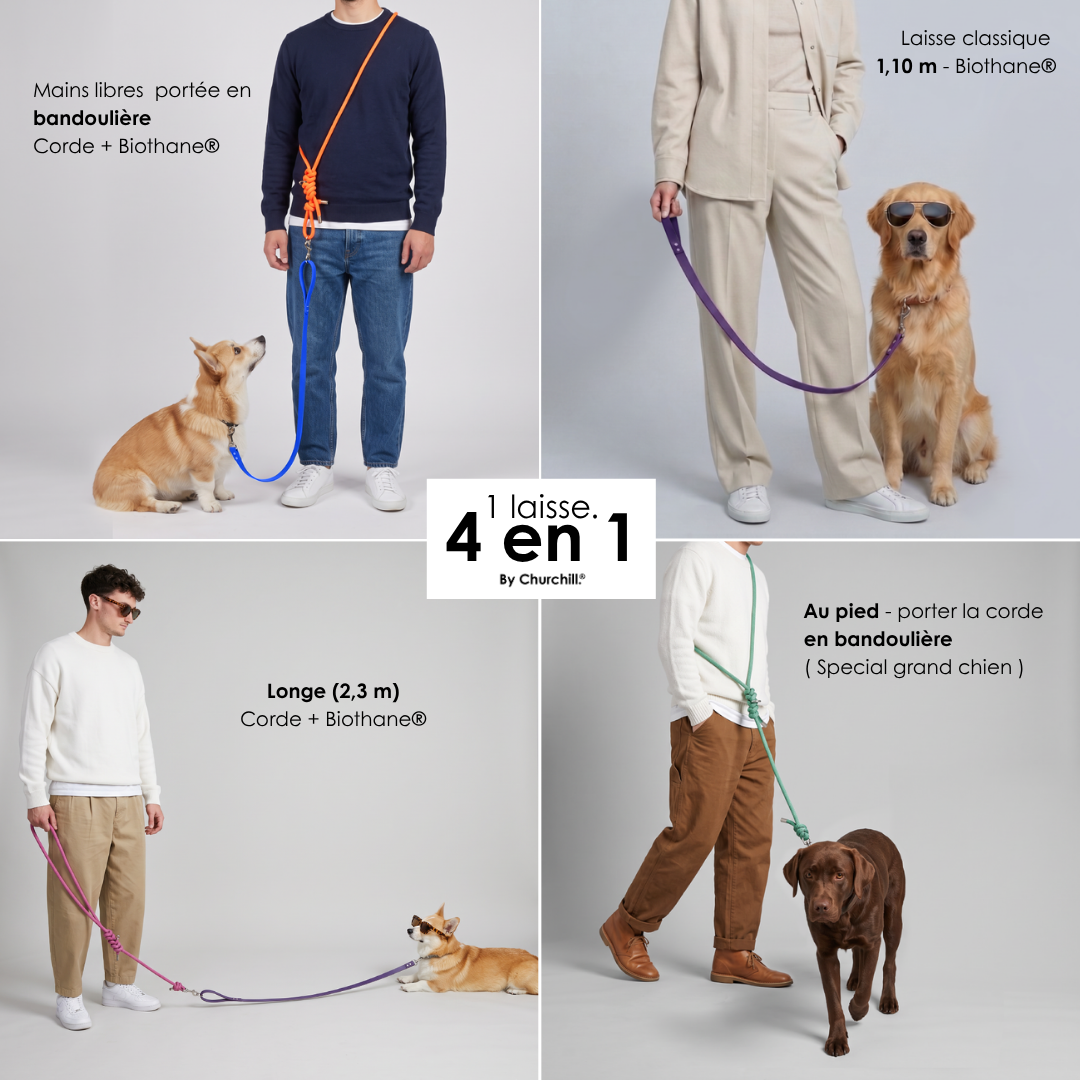 Laisse multiposition chien Bleu & Orange – LAISSE LÉON.