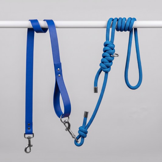 Laisse multiposition chien Double Bleus –  LAISSE LÉON.