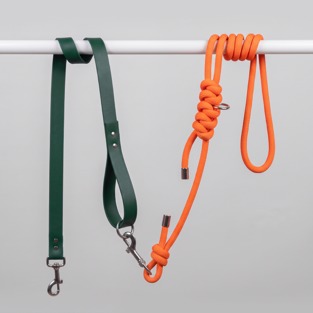 Laisse multiposition chien Orange & Vert – LAISSE LÉON
