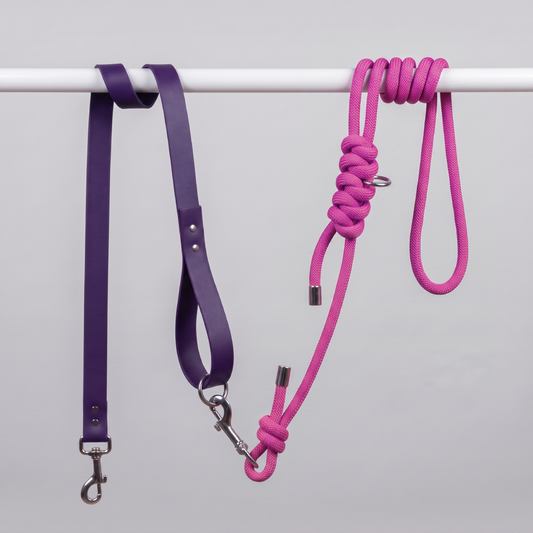Laisse multiposition chien Rose & Prune – LAISSE LÉON.
