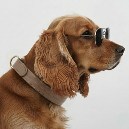 COLLAR CHURCHILL.