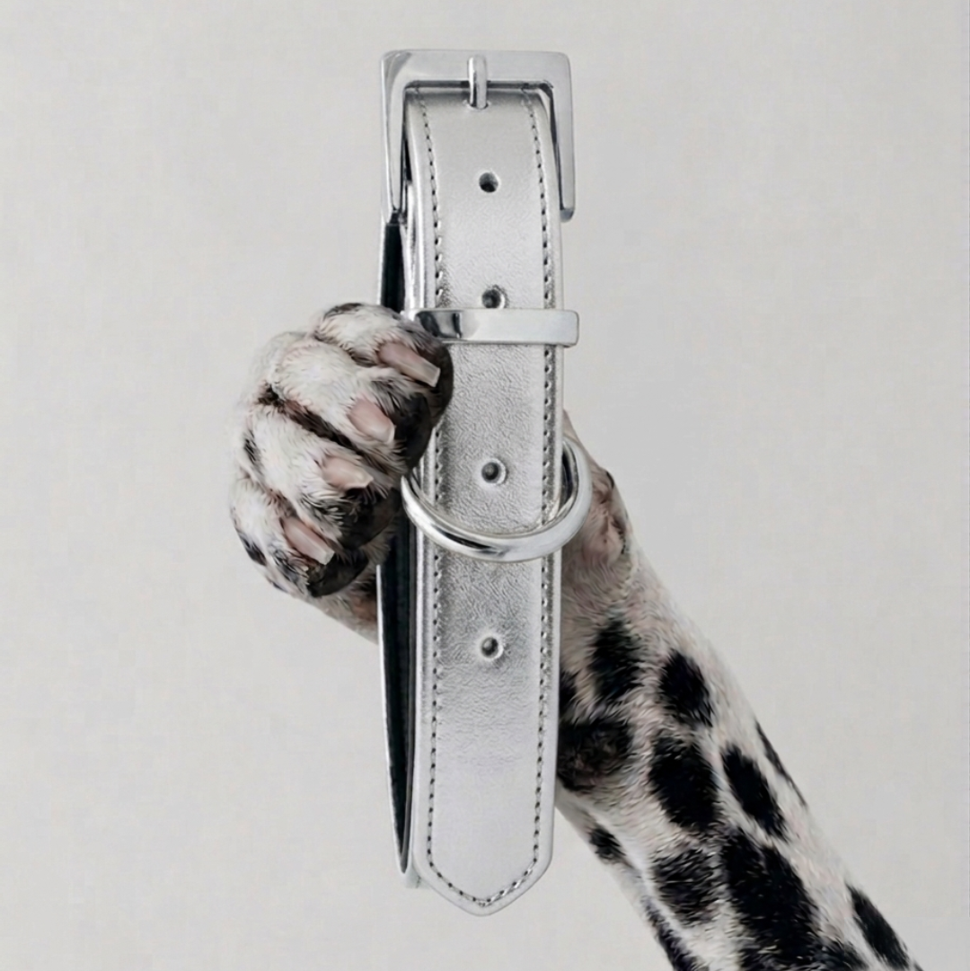 COLLAR CHURCHILL.