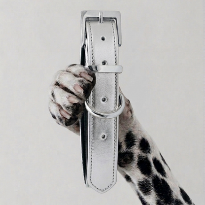COLLAR CHURCHILL.
