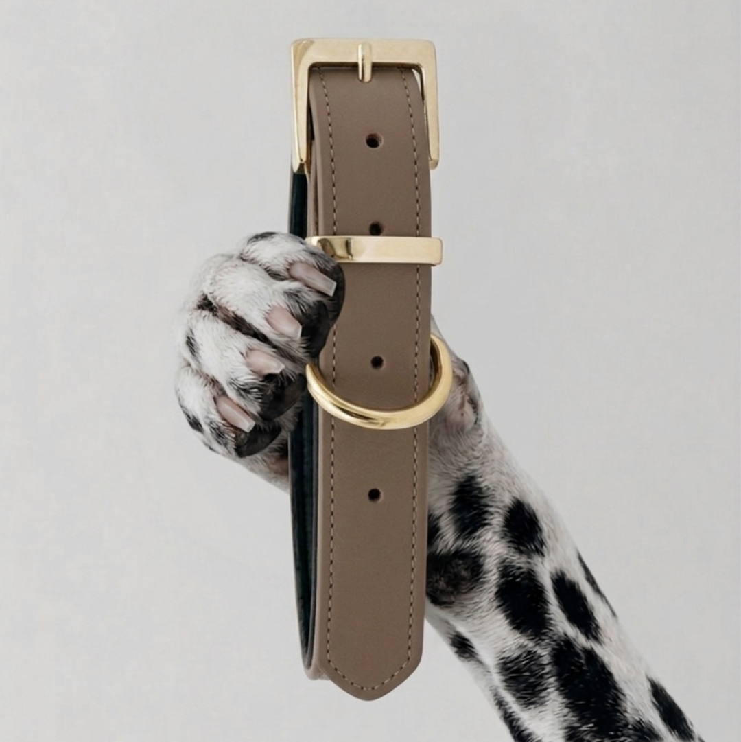 COLLAR CHURCHILL.