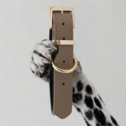 COLLAR CHURCHILL.