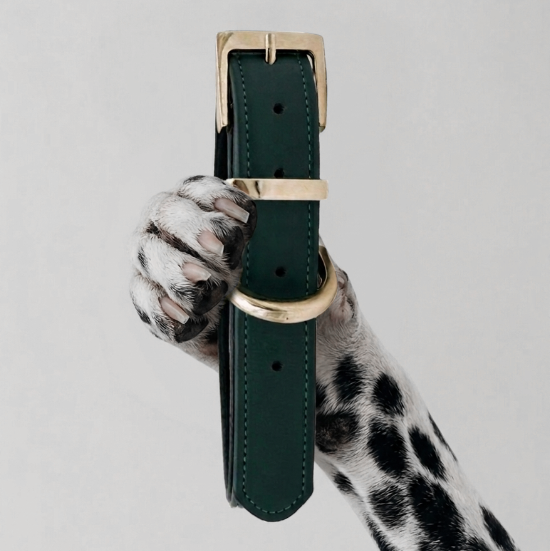 COLLAR CHURCHILL.