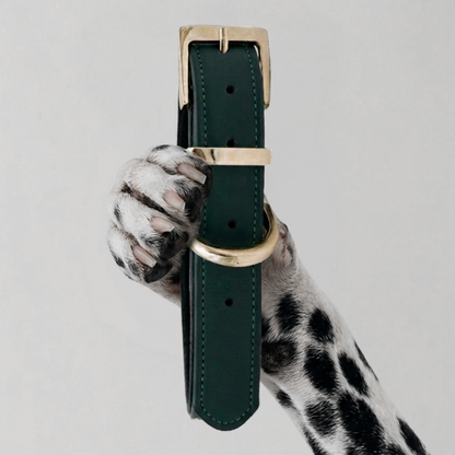COLLAR CHURCHILL.