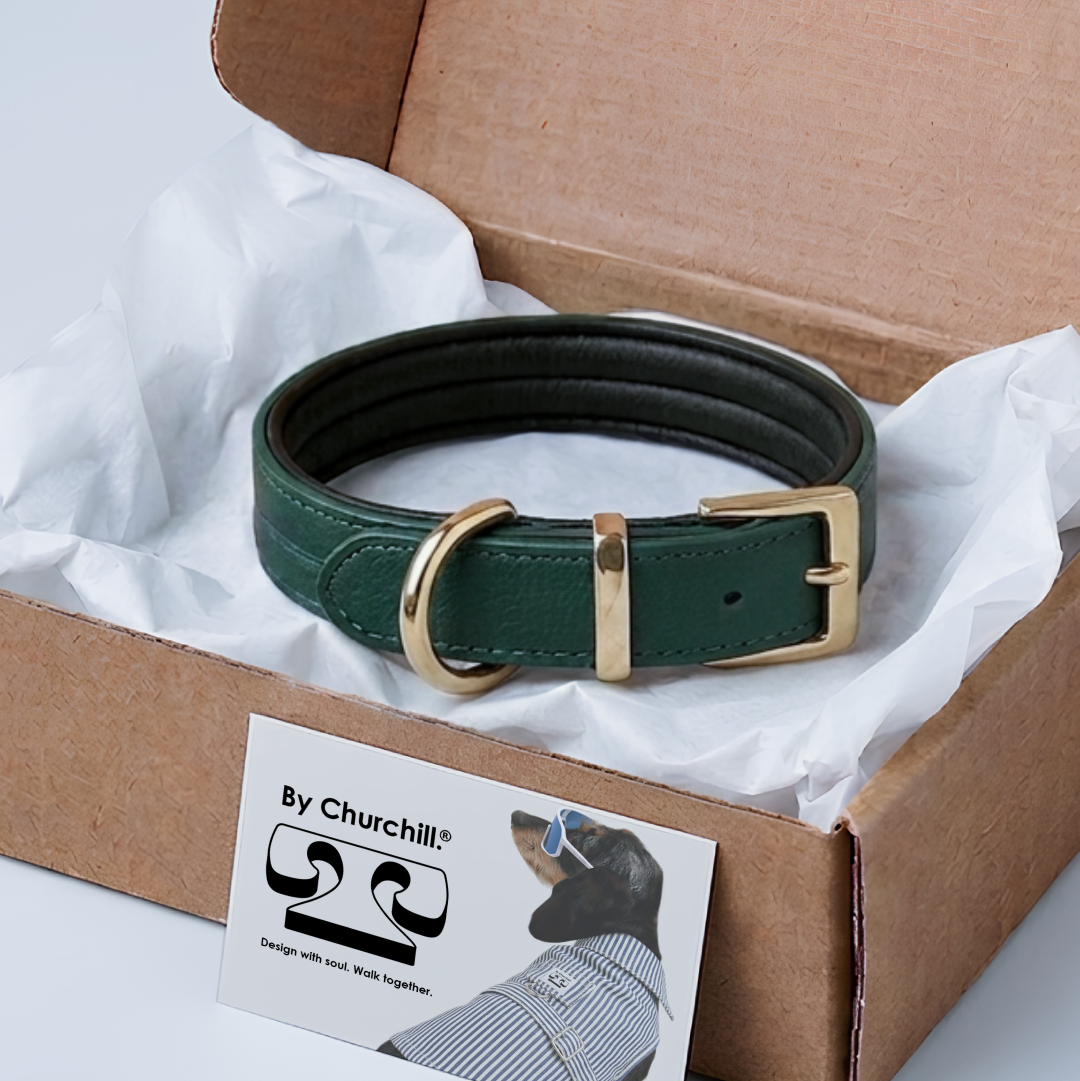 COLLAR CHURCHILL.