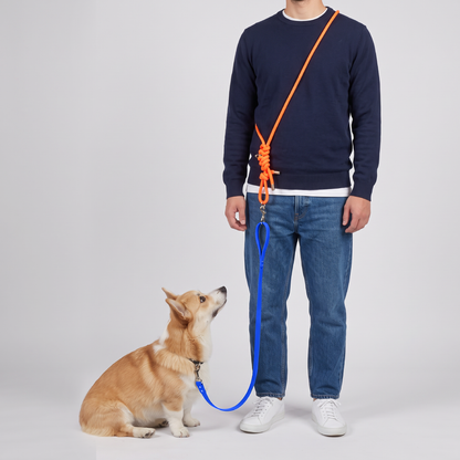 Laisse multiposition chien Bleu & Orange – LAISSE LÉON.
