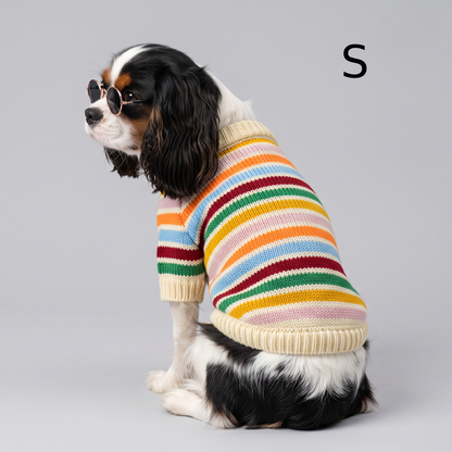 Pull en maille chien rayé - LE PULL MAGGIE.