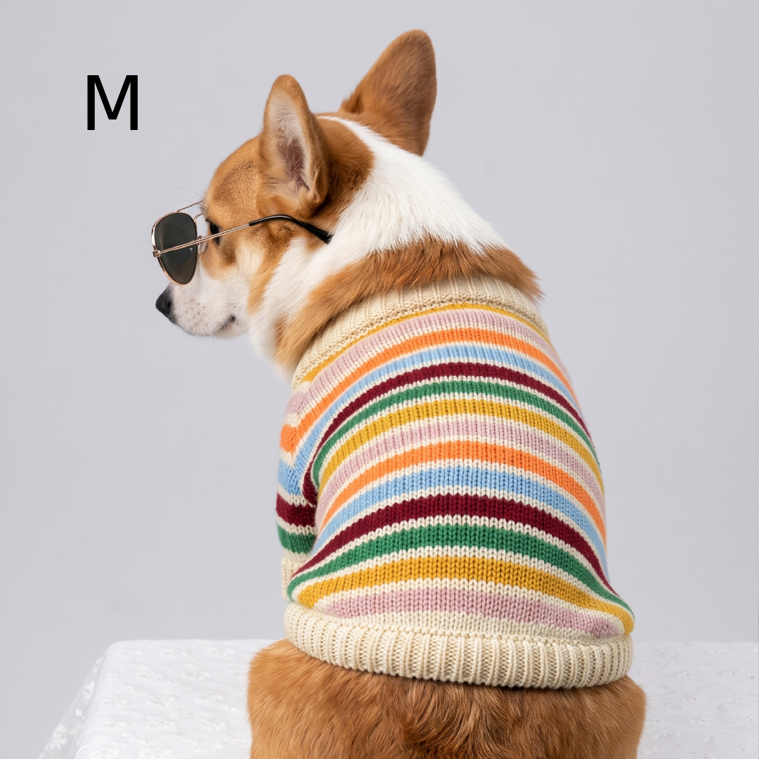 Pull en maille chien rayé - LE PULL MAGGIE.