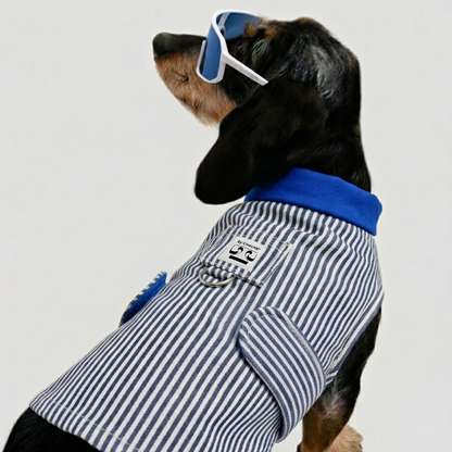 LA VESTE RENÉ. Rayée – Veste chien jeans 100% coton