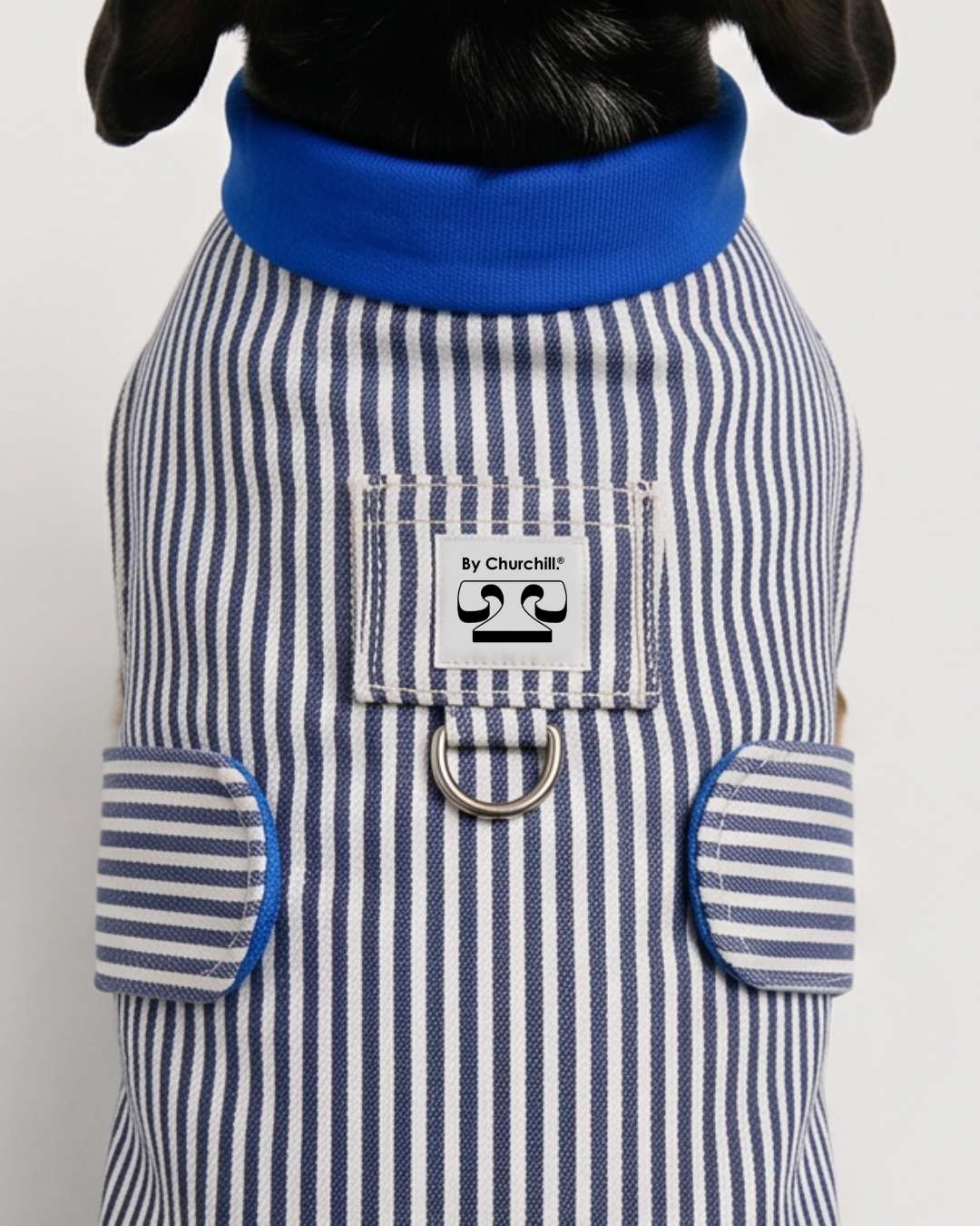 LA VESTE RENÉ. Rayée – Veste chien jeans 100% coton