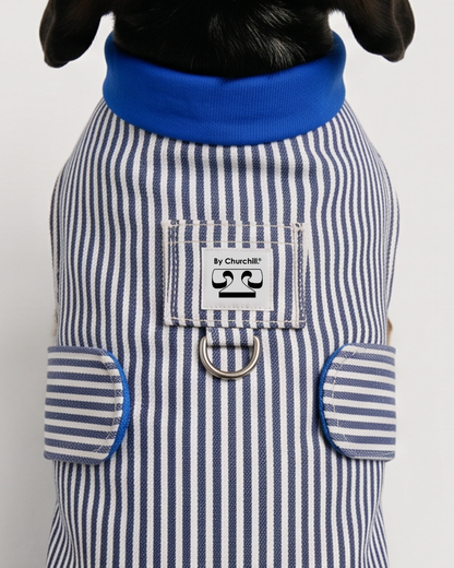 LA VESTE RENÉ. Rayée – Veste chien jeans 100% coton